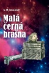 Malá černá brašna