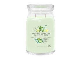 YANKEE CANDLE Cucumber Mint Cooler svíčka 567g / 2 knoty (Signature velký)