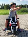 Mamido Dětská elektrická motorka BMW S1000RR tříkolka červená