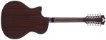 D'Angelico Premier Fulton LS Black Top