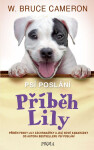 Příběh Lily - Bruce W. Cameron