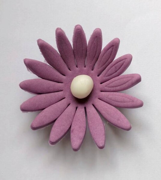 Dortisimo Cukrová sedmikráska velká fialová (9 ks)