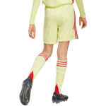 Dětské šortky adidas Tiro 24 žluto-červené JC6206 152cm