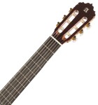 Alhambra 6 Olivo