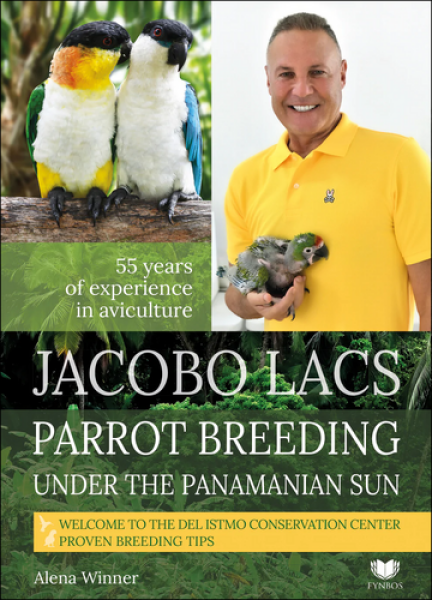 Jacobo Lacs Parrot breeding the Panamanian sun