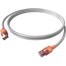 Easylan CS1OAADAD0030 RJ45 síťové kabely, propojovací kabely CAT 6A S/FTP 3.00 m šedá dvoužilový stíněný, bez halogenů, samozhášecí 1 ks