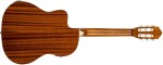Ortega RCE145NT