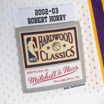 Mitchell & Ness Pánský dres Los Angeles Lakers NBA Robert Horry #5 2002-03 Swingman Velikost: M