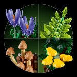 LEGO LEGO® Botanicals 11505 Lesní houby