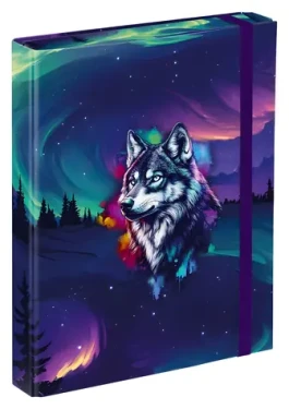 BAAGL Desky na školní sešity A5 Aurora / 17x23x3 cm