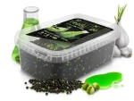 Delphin Reaxe ReadyGo Česnek-Butyric / Pellet box / 400 g + booster + wafters / method feeder (101006477)