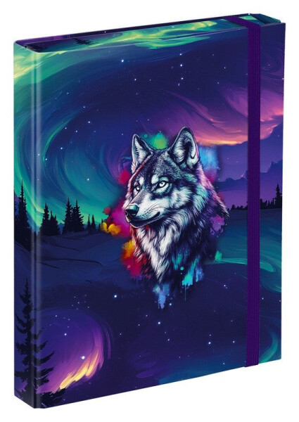 Desky na školní sešity A5Aurora