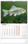 Nástěnný kalendář 2026 NOTIQUE - Rybářský, 33 x 46 cm