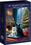 BLUEBIRD Puzzle Čekání na Vánoce