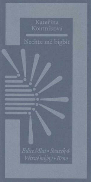 Nechte mě bigbít Kateřina Koutníková