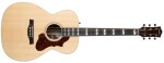 Godin Fairmount CH LTD Rosewood HG EQ