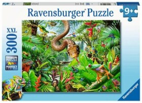 Ravensburger Domov plazů