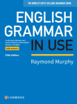 English Grammar in Use 5th