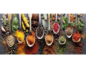 Obraz na plátně Barevné koření, 70x33 cm