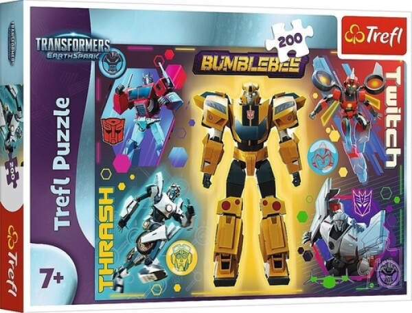 Puzzle Transformers