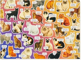 GALISON Puzzle Náladové kočky