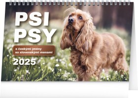 Kalendář 2025 stolní: Psi Psy CZ/SK,