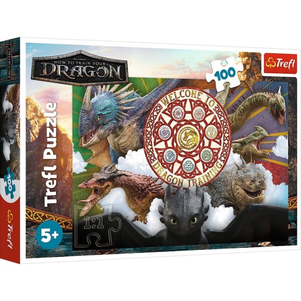 Puzzle Jak vycvičit draka Draci s akci 100 dílků