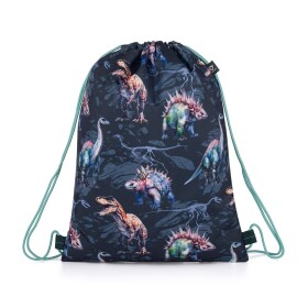 Sportovní vak (gymsack) Topgal RAMY 25026