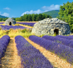 Nástěnný kalendář 2025 Provence