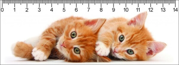 Pravítko 3D Two Ginger Kitten