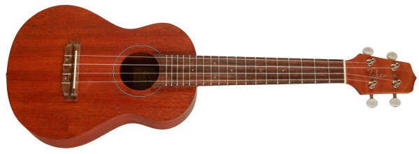 Takamine EGU-C1