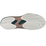 Boty Asics Gel-Challenger 14 Clay/OC W 1041A490-100 46