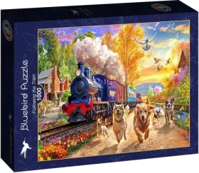 BLUEBIRD Puzzle Dohoníme vlak