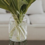 Eulenschnitt Skleněná váza Floral Clear 14 cm, čirá barva, sklo