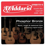 D'Addario EPBB170-5