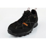 Trekové boty Aku Nativa GTX W 629024 42