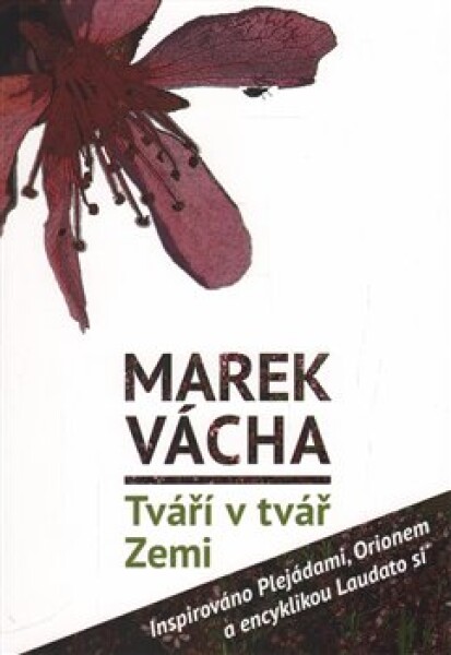 Tváří tvář Zemi Marek Vácha