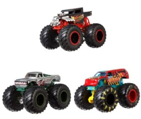 HW MONSTER TRUCKS 1:64 S ANGLIČÁKEM ASST