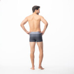 Pánské plavky Stripe 92800076209 Aquawave