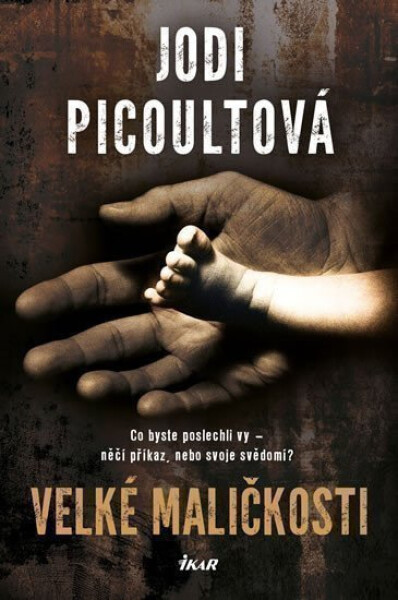 Velké maličkosti - Jodi Picoult
