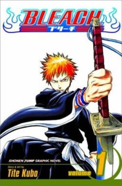 Bleach