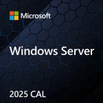 Microsoft Windows Server 2025 CAL EP2-25225 / Licence / 1 Device CAL / ENG / OEM (EP2-25225)