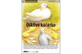 Ošklivé kačátko Naučná karta