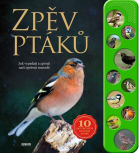Zpěv ptáků - Jak vypadají a zpívají naši opeření sousedé