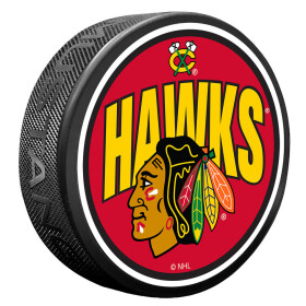 Mustang Puk Chicago Blackhawks NHL Wordmark