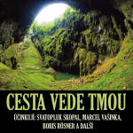 Cesta vede tmou - audiokniha