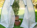 Fóliovník – Olive 1,6 x 1,6 m