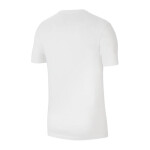 Pánské tričko Dri-FIT Park 20 CW6952-100 Nike
