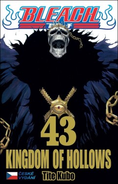 Bleach 43