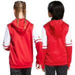 Mikina adidas Squadra 25 Hoodie Jr JD4801 140 cm